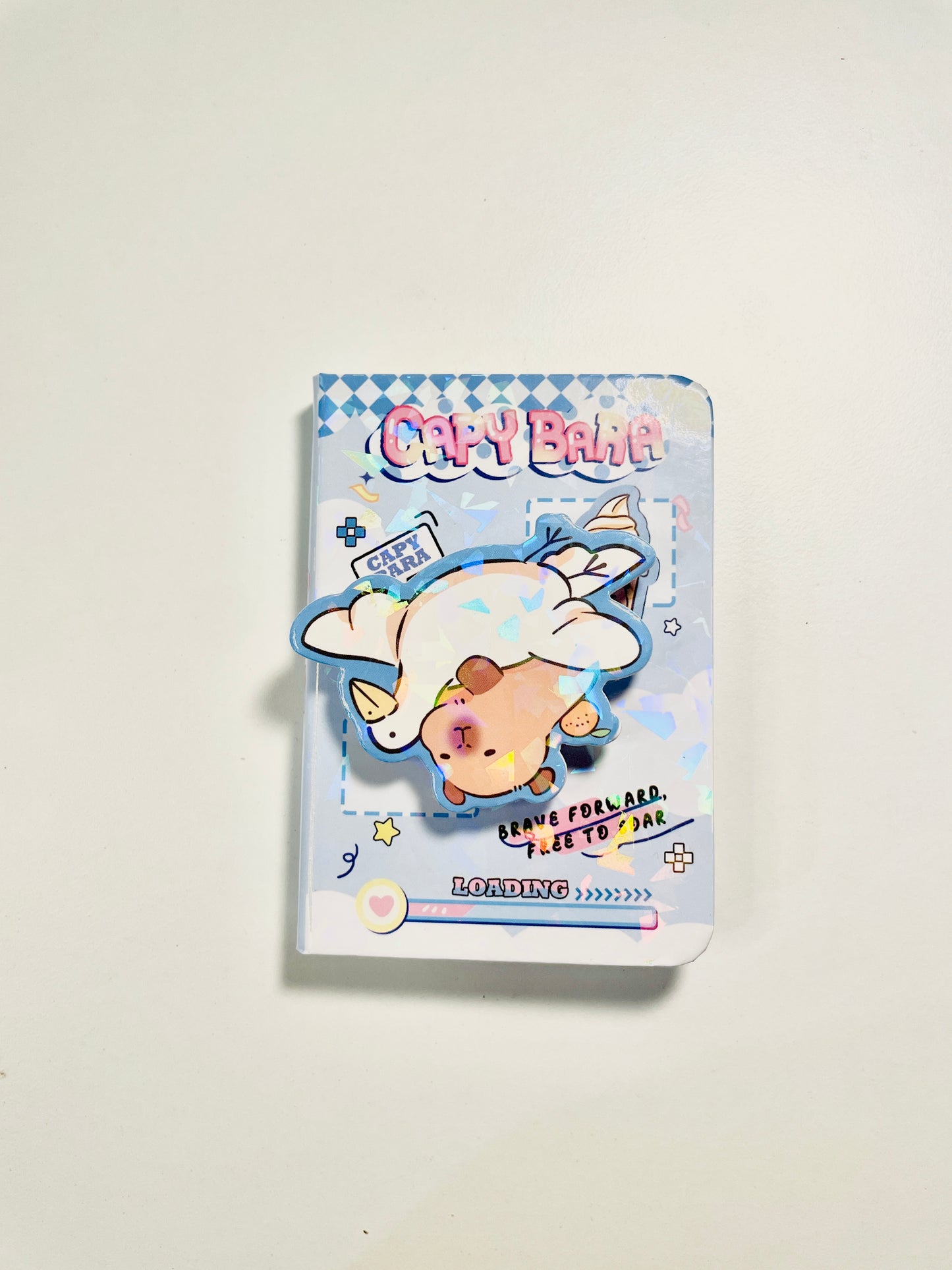 Rotating Capybara pocket size notebook